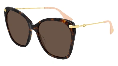 Gucci Gg0510s W Cateye Sunglasses In Brown