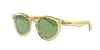 Polo Ralph Lauren Ph4165 Shiny Transp Dark Grey Pinot Sunglasses In Vintage Green