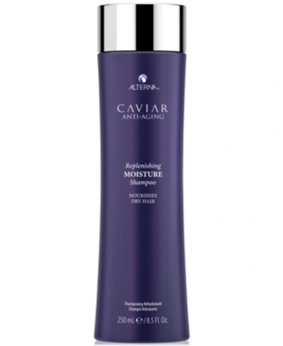 ALTERNA CAVIAR ANTI-AGING REPLENISHING MOISTURE SHAMPOO, 8.5-OZ.