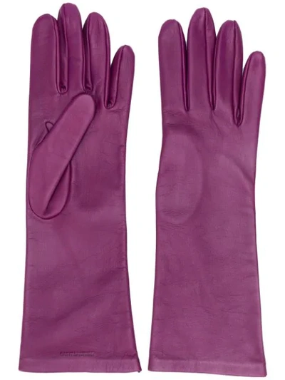 Saint Laurent Logo-debossed 5-finger Gloves In Purple