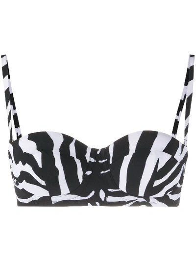 Dolce & Gabbana Zebra-print Bikini In Black