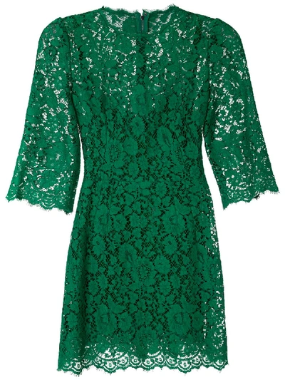 Dolce & Gabbana Lace Mini Dress In Green