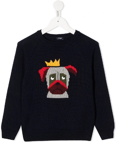 Il Gufo Kids' Dog Intarsia Cotton Knit Sweater In Navy