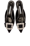 Manolo Blahnik Maysale 10 Jewel Mule In Black
