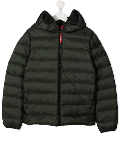 Ai Riders On The Storm Young Kids' Padded Hood Jacket In Green