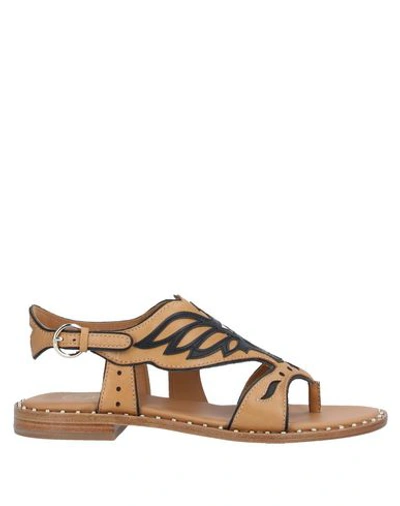 Ash Toe Strap Sandals In Brown