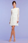 TADASHI SHOJI CURZON EMBROIDERED SHIFT DRESS