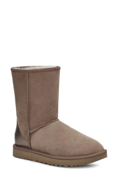 Ugg Classic Short Low Heels Ankle Boots In Brown Suede