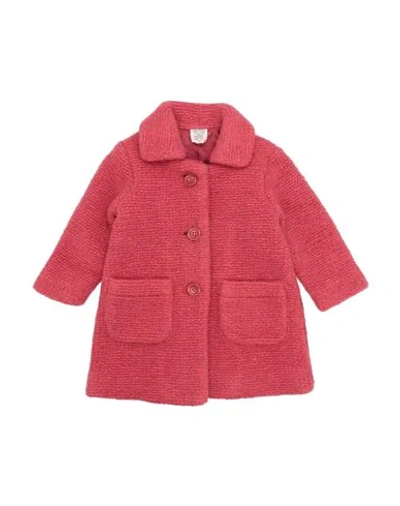 Nice Things Mini Babies' Coats In Coral