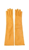 Maison Margiela Yellow Long-length Gloves In Yellow