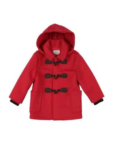 Gucci Babies' Coat In Red