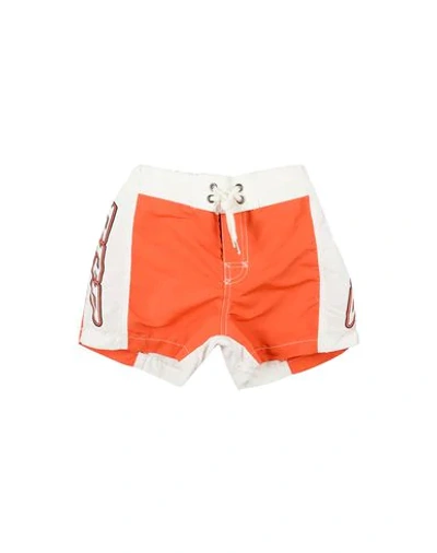 Rrd Swim Shorts In Orange