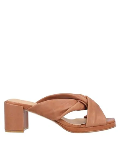 Ernesto Dolani Sandals In Tan