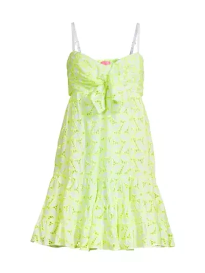 Lilly Pulitzer Briana Fit-&-flare Dress In Pepino Green Mambo Eyelet