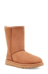 Ugg Classic Short Ii Logo Embellished Boot In Chestnut Suede/ Neon Coral