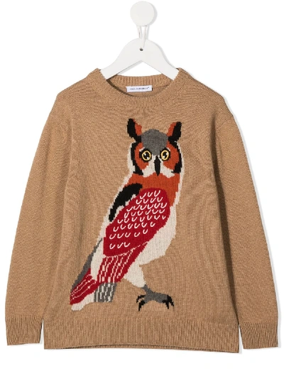 Dolce & Gabbana Kids' Owl Print Knitted Jumper In Brown