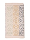 Loewe Fringed Printed Wool, Silk And Cashmere-blend Scarf In Nude & Neutrals
