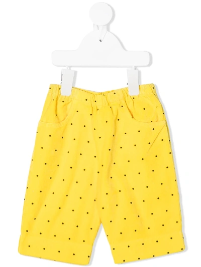 The Animals Observatory Babies' Polka Dot Shorts In Yellow