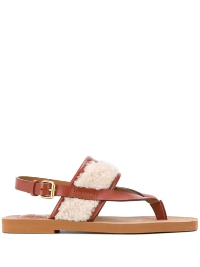 Chloé Woody Shearling And Leather Sandals In Brown
