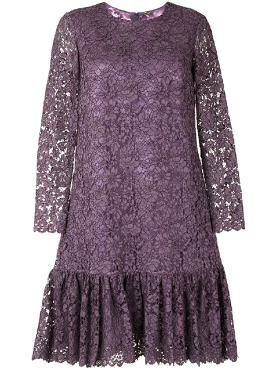 Adam Lippes Corded Lace Amethyst Long Sleeve Ruffle Hem Dress In Purple