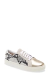 KAANAS SNAKE EMBOSSED SNEAKER,T00054S-SNK