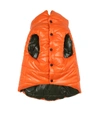 MONCLER REVERSIBLE HOODED DOG COAT,P00508091