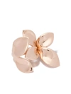 PASQUALE BRUNI 18KT ROSE GOLD GIARDINI SEGRETI RING