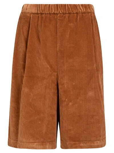 Barena Venezia Ribbed Waist Shorts In Camel