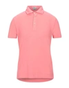 Drumohr Polo Shirts In Salmon Pink
