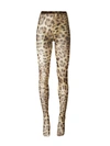 Dolce & Gabbana Leopard Print Tights In Tulle In Animalier