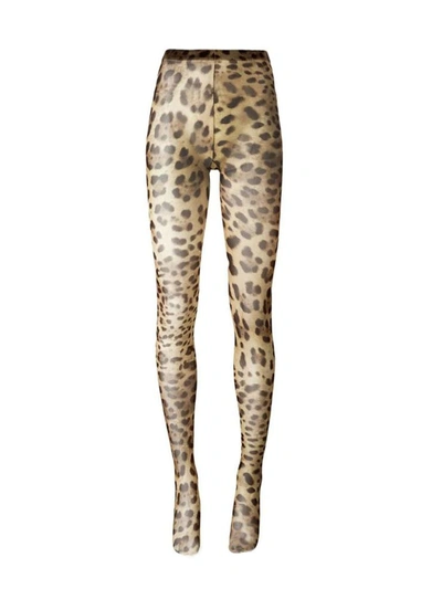 Dolce & Gabbana Leopard Print Tights In Tulle In Animal Print