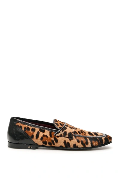 Dolce & Gabbana Erice Leopard Print Loafers In Brown,beige,black