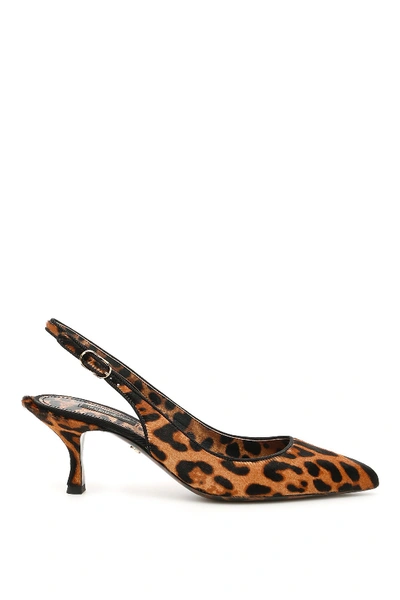 Dolce & Gabbana Leopard-print Calf Hair Slingback Pumps In Brown,black