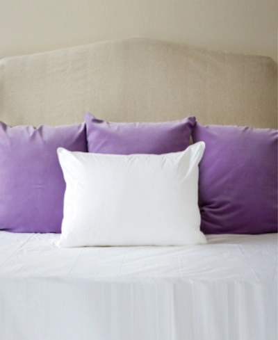The Pillow Bar Down Alternative Standard Back Sleeper Pillow In Classic White