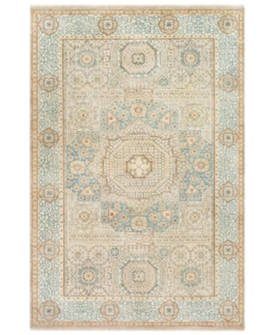 Surya Cambridge Cmb-8014 Aqua 2' X 3' Area Rug