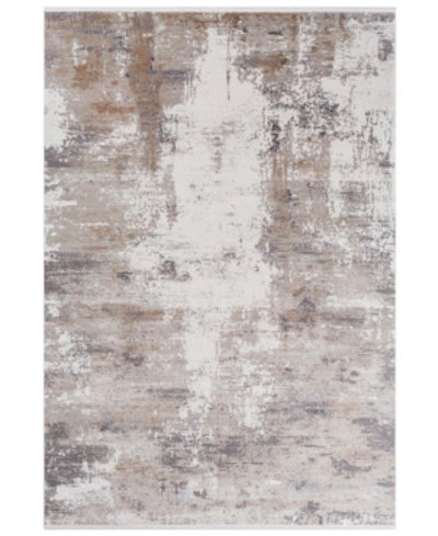 Surya Solar Sor-2300 Taupe 2' X 3' Area Rug