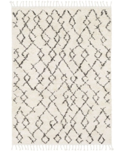 Surya Berber Shag Bbe-2301 Charcoal 2' X 2'11" Area Rug