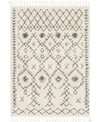 Surya Berber Shag Bbe-2302 Charcoal 2' X 2'11" Area Rug In Charcoal