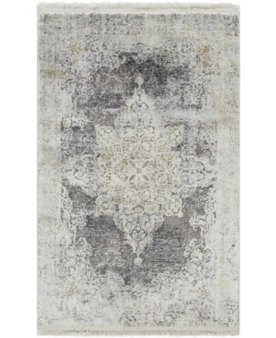 Surya Solar Sor-2305 Charcoal 2' X 3' Area Rug