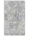 Surya Solar Sor-2307 Mist 2' X 3' Area Rug In Mist