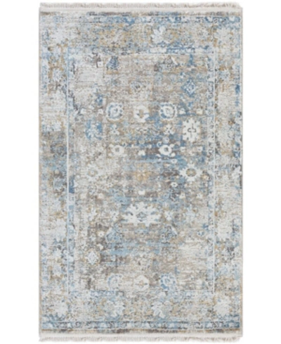 Surya Solar Sor-2307 Mist 2' X 3' Area Rug