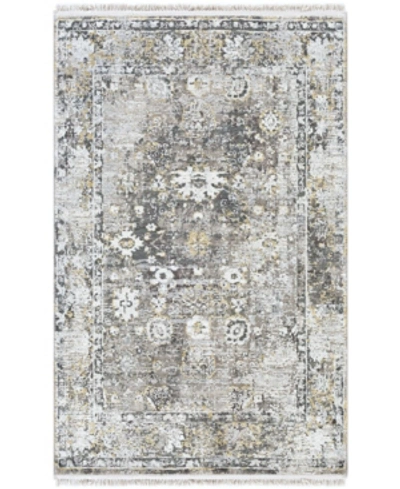 Surya Solar Sor-2308 Charcoal 2' X 3' Area Rug