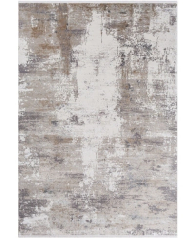Surya Solar Sor-2300 Taupe 3' X 5' Area Rug