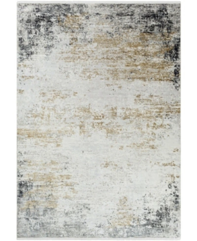 Surya Solar Sor-2302 Gray 3' X 5' Area Rug