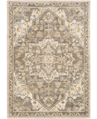 Surya Tuscany Tus-2308 Mocha 7'10" X 10'3" Area Rug In Brown