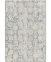 Surya Wilson Wsn-2300 Denim 2' X 3' Area Rug In Denim