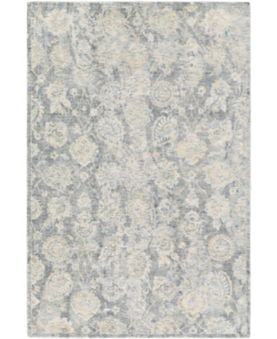 Surya Wilson Wsn-2300 Denim 2' X 3' Area Rug