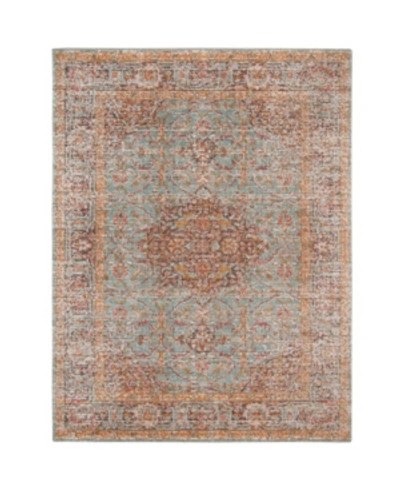 Amer Rugs Eternal Ete-30 Mint 7'6" X 9'6" Area Rug