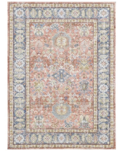 AMER RUGS CENTURY CEN-16 CORAL 7'10" X 10'6" AREA RUG