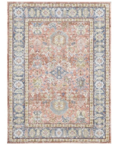 Amer Rugs Century Cen-16 Coral 7'10" X 10'6" Area Rug